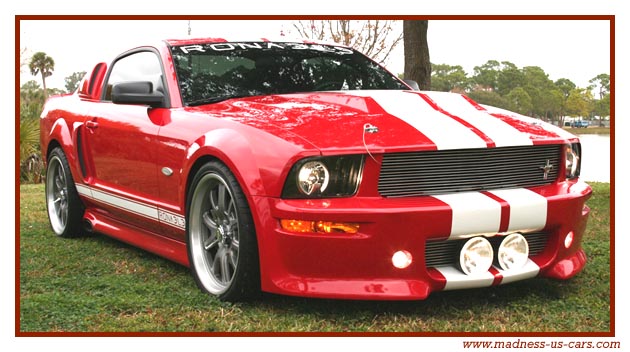 Mustang Ronaele Eleanor 