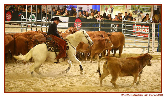 Madness US au Salon du Cheval 2017