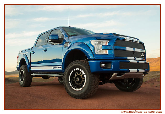 Shelby F150 2016