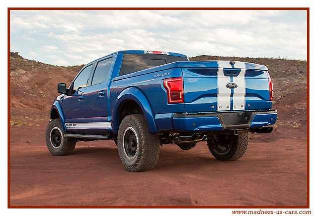 Shelby F150 2016