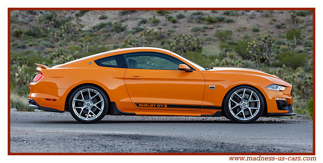 Shelby GT-S Sixt 2019