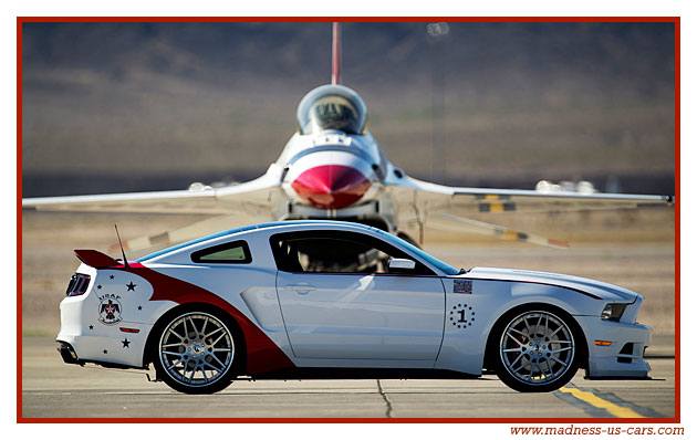 Thunderbirds Ford Mustang 2014