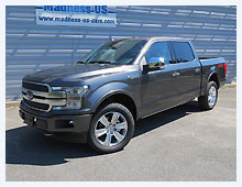 Ford F150 Platinum SuperCrew FX4 FlexFuel 2019