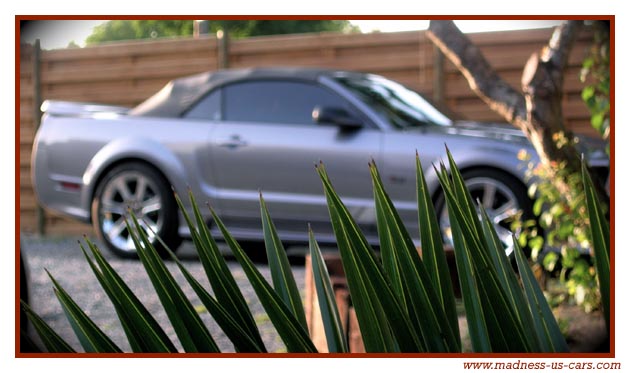 Saleen S281 Supercharged Cabriolet 2006